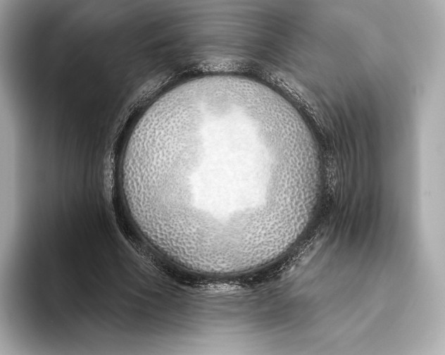 X0000093500586200711021011
