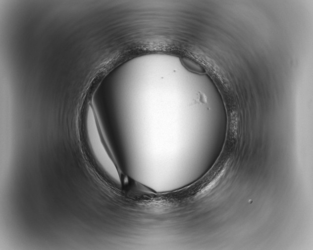X0000093500589200711021011