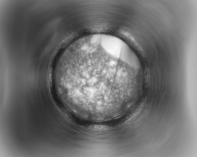 X0000093500590200711021011