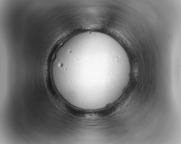 X0000093500591200711021011