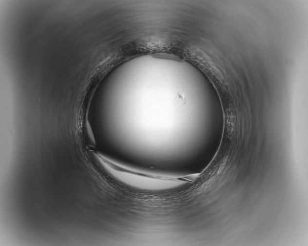 X0000093500593200711021011
