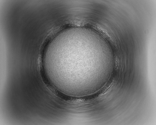 X0000093500594200711021011