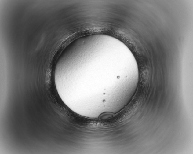 X0000093500596200711021011