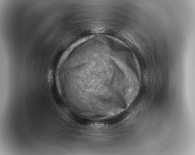 X0000093500598200711021011