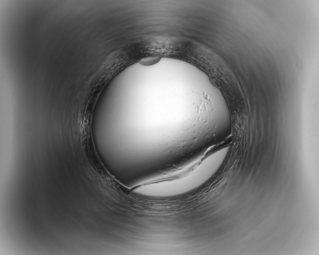 X0000093500601200711021011