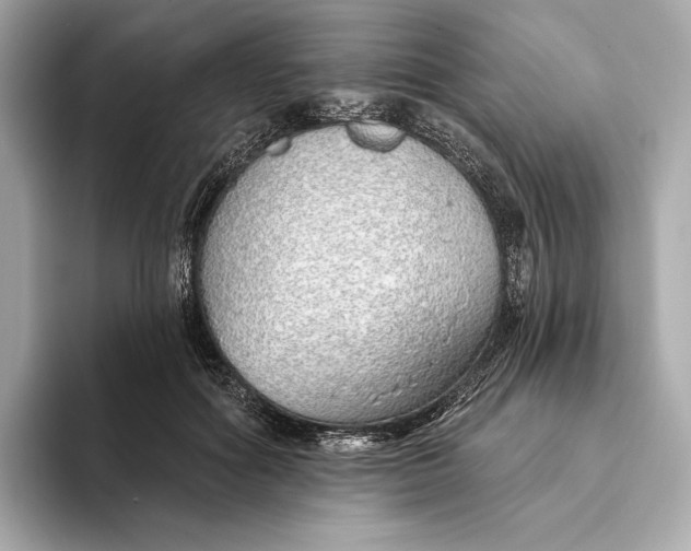 X0000093500602200711021011