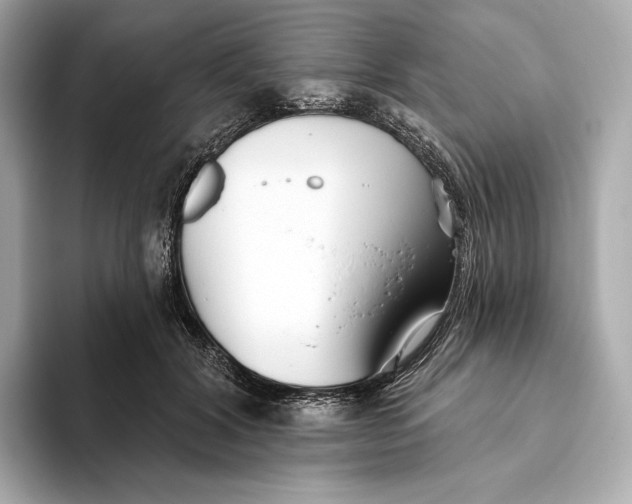 X0000093500604200711021011