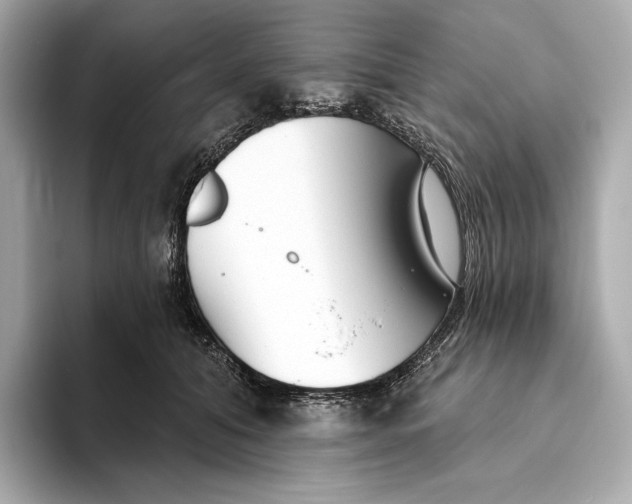 X0000093500608200711021011