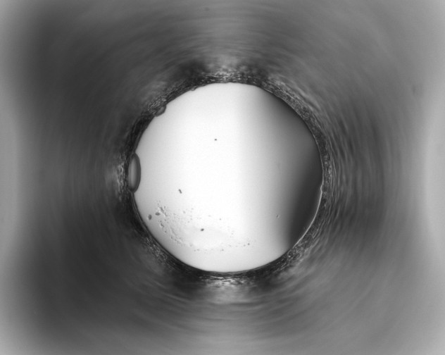X0000093500611200711021011