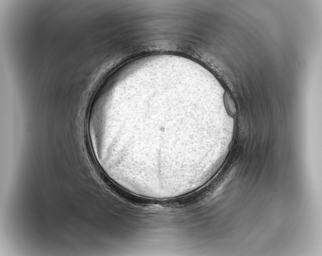 X0000093500625200711021010