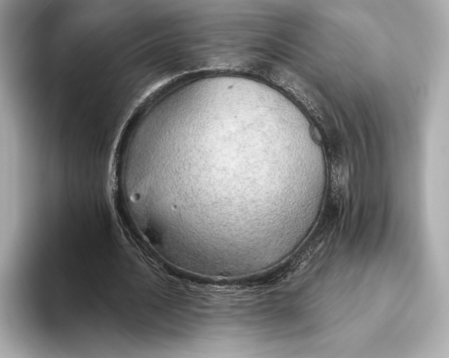 X0000093500628200711021010