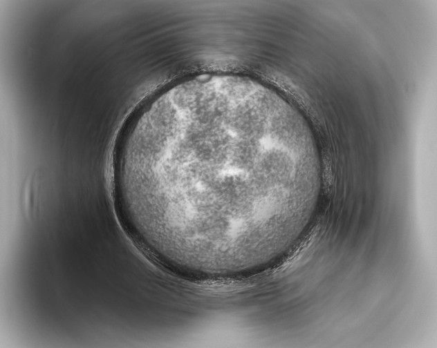 X0000093500630200711021010