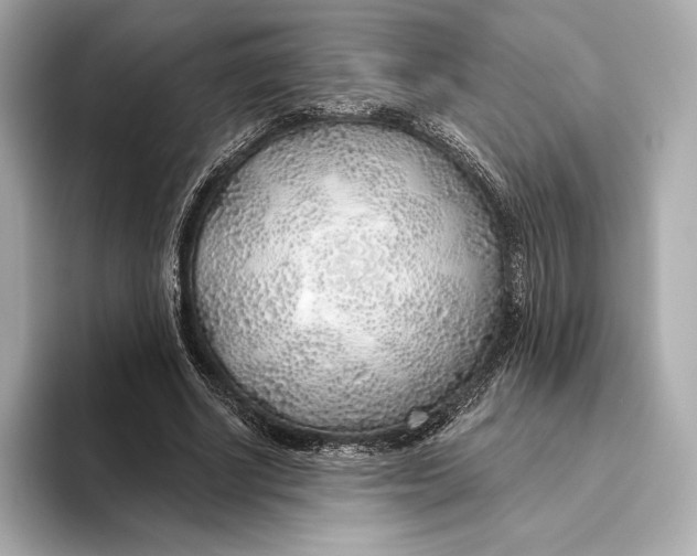 X0000093500634200711021010