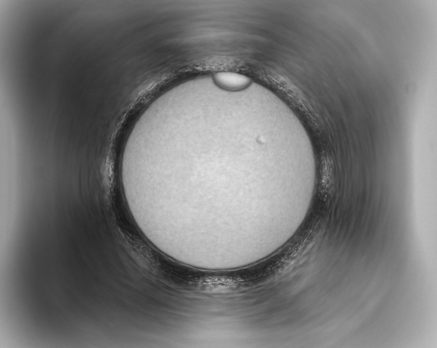 X0000093500636200711021010