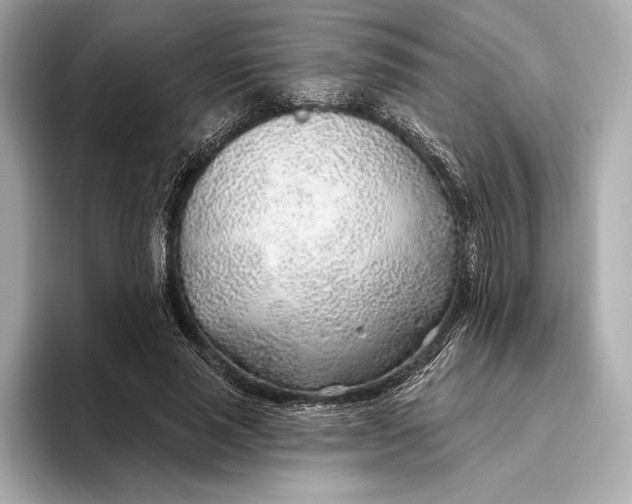 X0000093500637200711021010