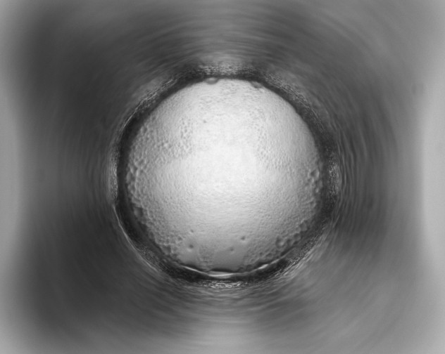 X0000093500638200711021010