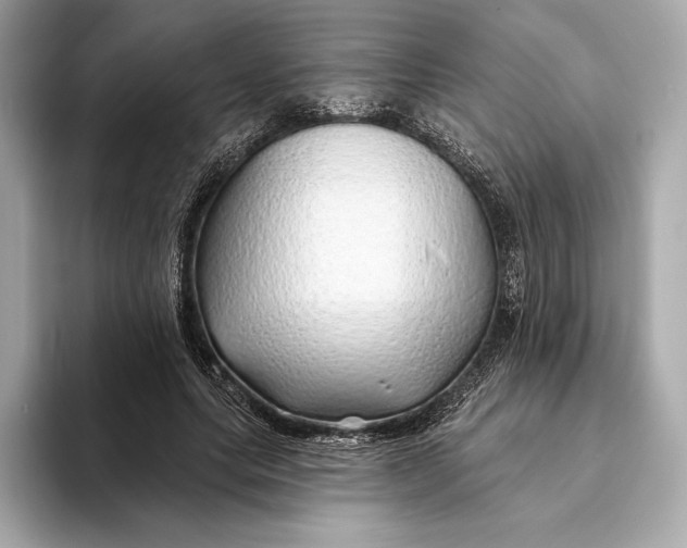 X0000093500639200711021010