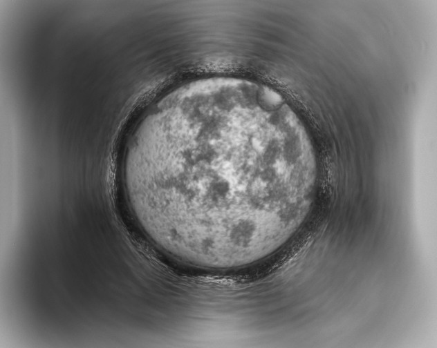 X0000093500640200711021010