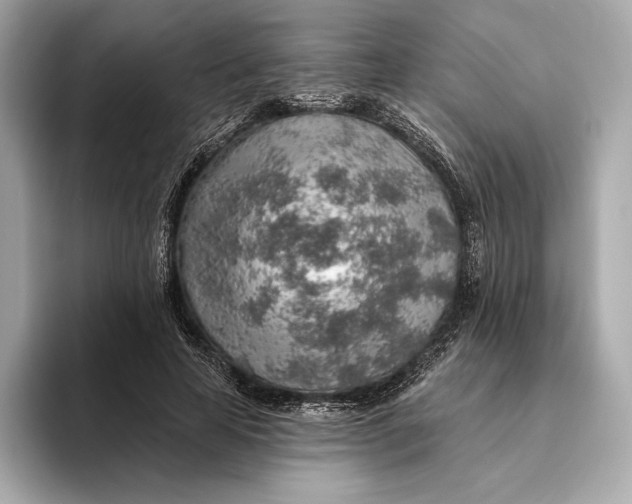 X0000093500641200711021010