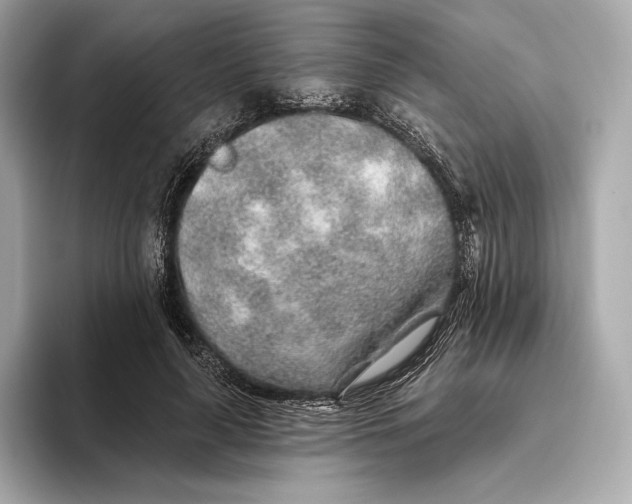 X0000093500643200711021010