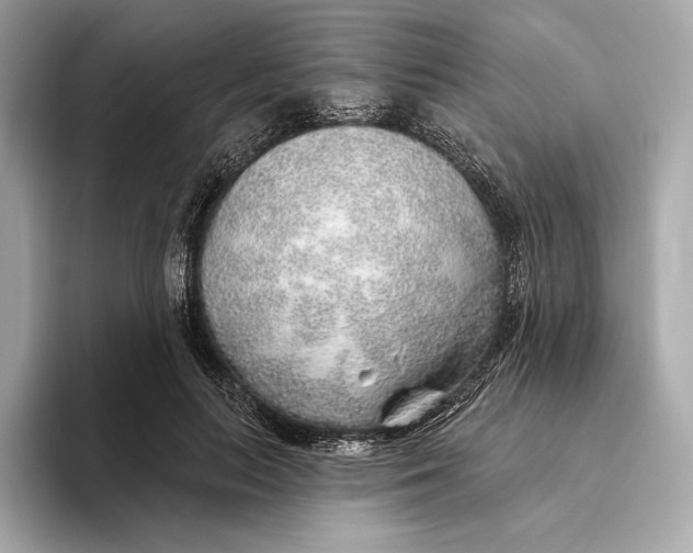X0000093500647200711021010