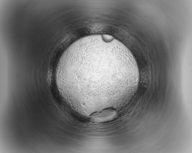 X0000093500648200711021010