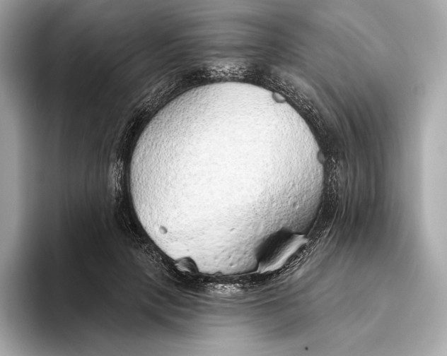 X0000093500649200711021010