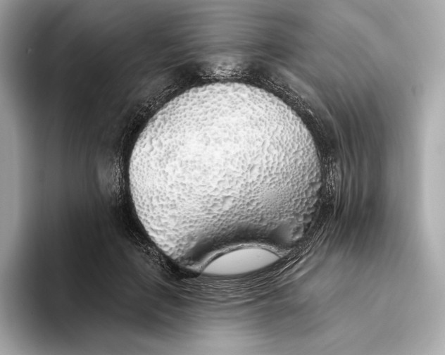X0000093500651200711021010