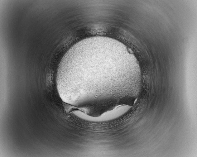 X0000093500652200711021010