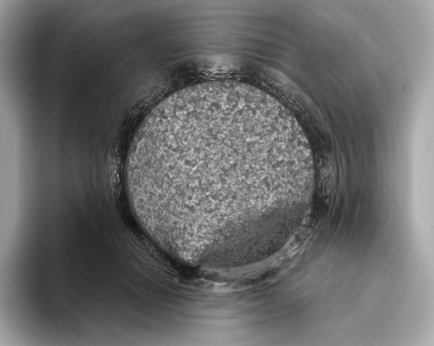 X0000093500654200711021010