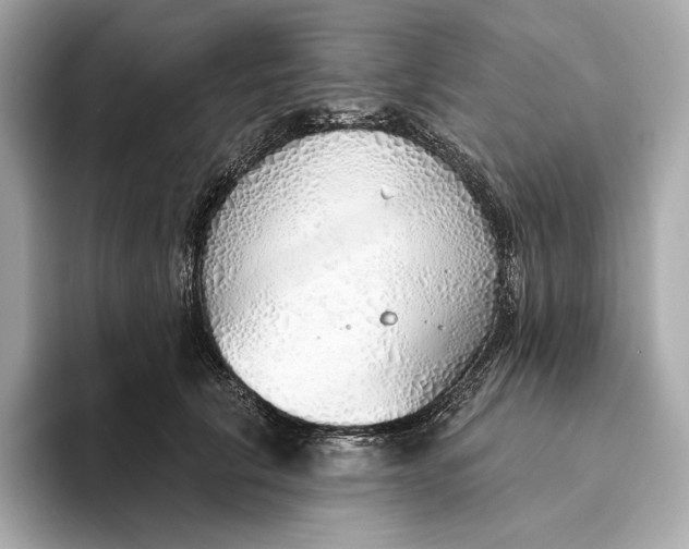 X0000093500657200711021010