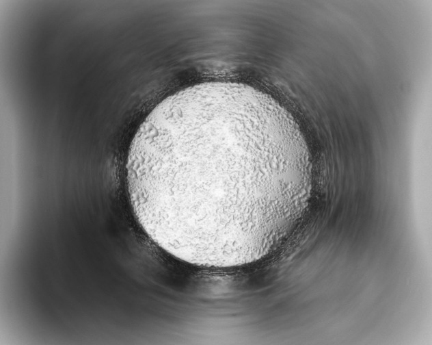 X0000093500658200711021010