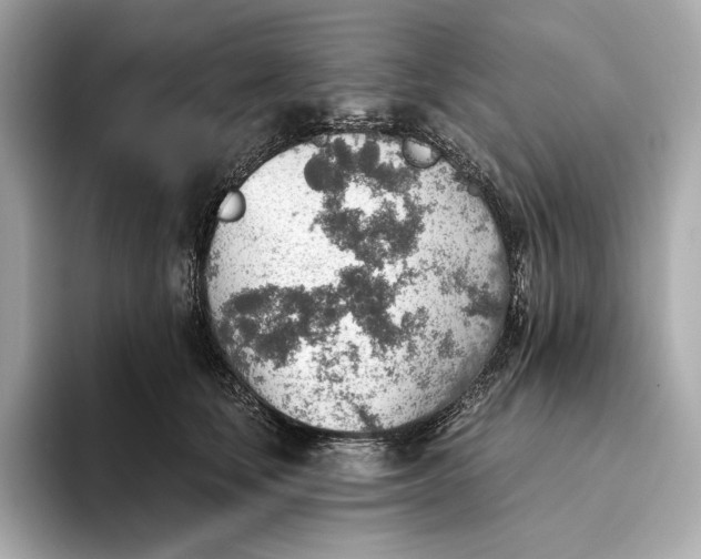 X0000093500659200711021010