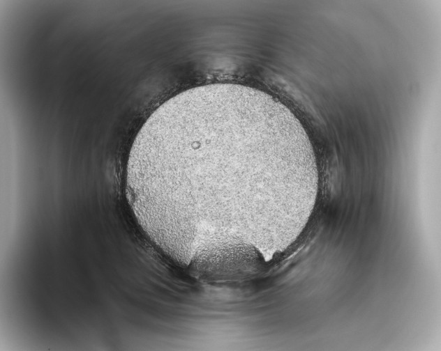 X0000093500661200711021011