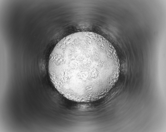 X0000093500662200711021011
