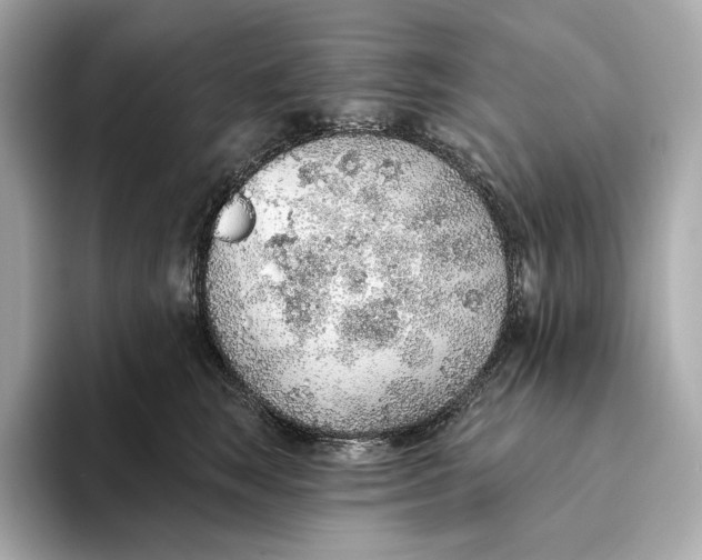 X0000093500663200711021011