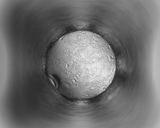 X0000093500664200711021011