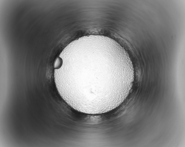 X0000093500665200711021011