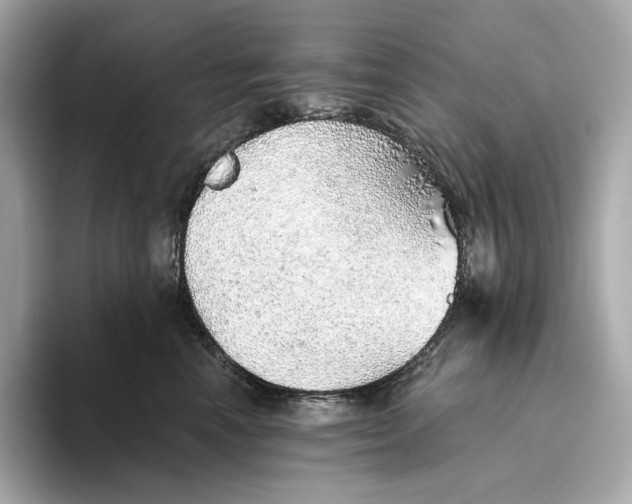 X0000093500666200711021011