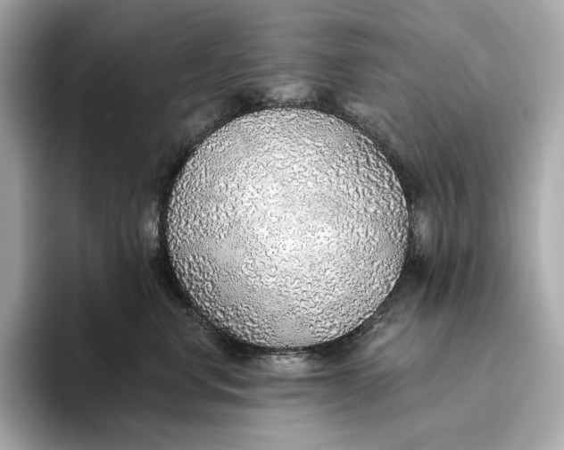 X0000093500668200711021011