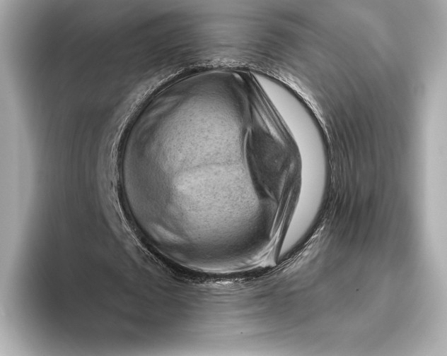 X0000093500673200711021010