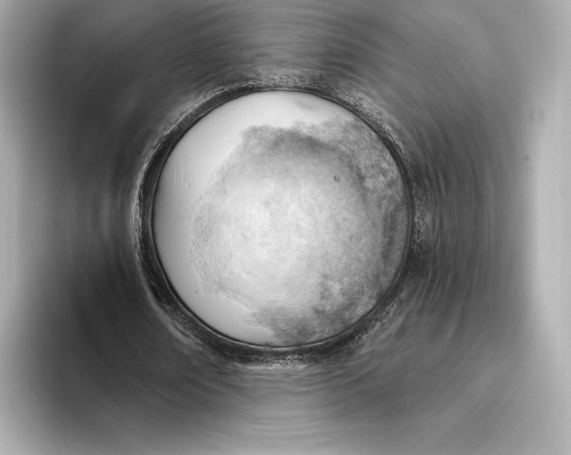 X0000093500674200711021010