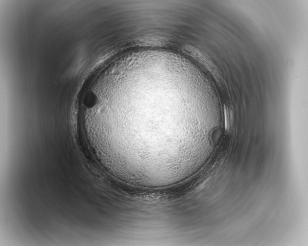 X0000093500675200711021010