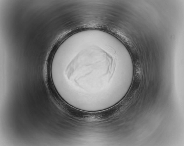 X0000093500678200711021010