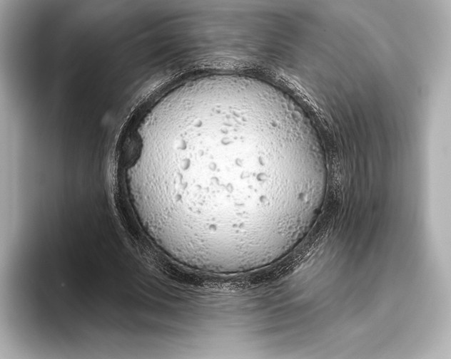 X0000093500679200711021010