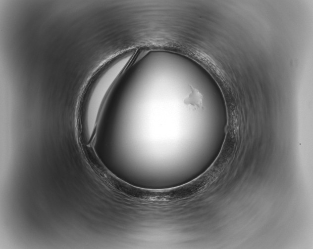 X0000093500680200711021010