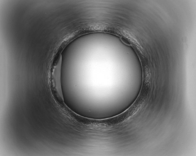 X0000093500681200711021010