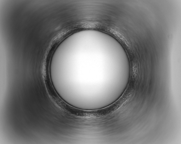 X0000093500682200711021010