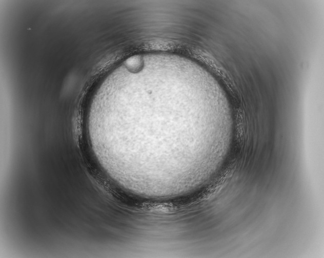 X0000093500683200711021010