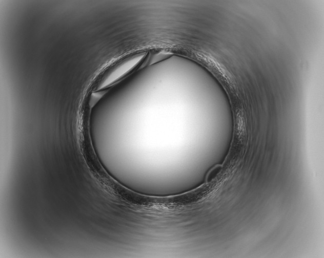 X0000093500684200711021010